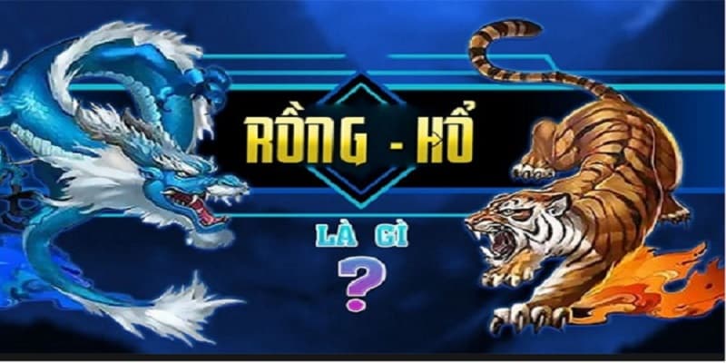 Cách chơi Rồng Hổ Fm88 - Hướng dẫn tiết và đầy đủ 2 Đôi nét về rồng hổ